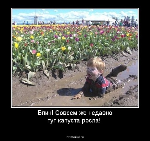 Блин! Совсем же недавно тут капуста росла!