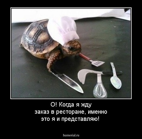 О! Когда я жду заказ в ресторане, именно это я и представляю!