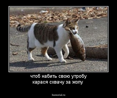 чтоб набить свою утробу
карася схвачу за жопу