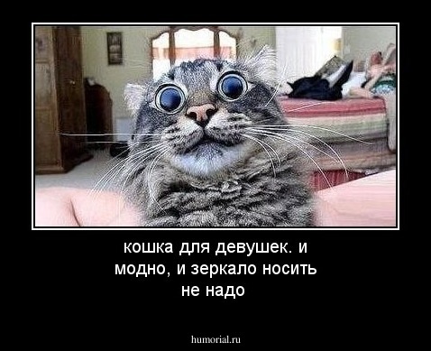 кошка для девушек. и модно, и зеркало носить не надо