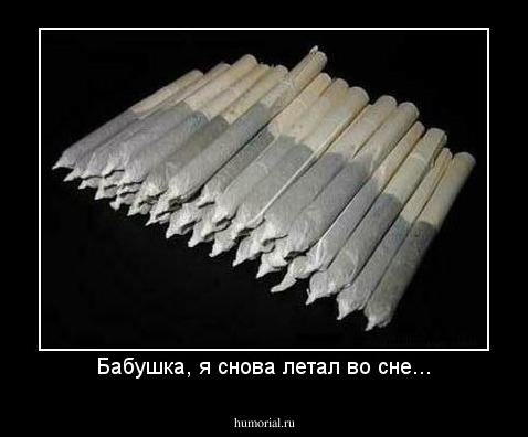 Бабушка, я снова летал во сне...