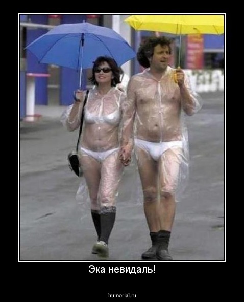 Эка невидаль!