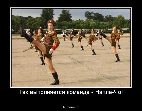 Так выполняется команда - Напле-Чо!