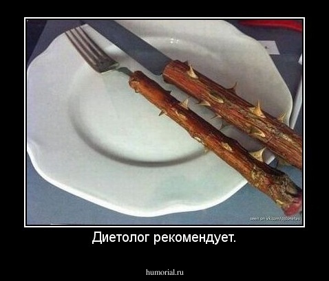 Диетолог рекомендует.