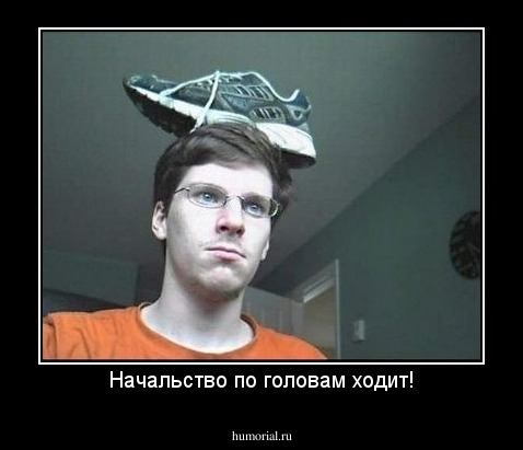 Начальство по головам ходит!