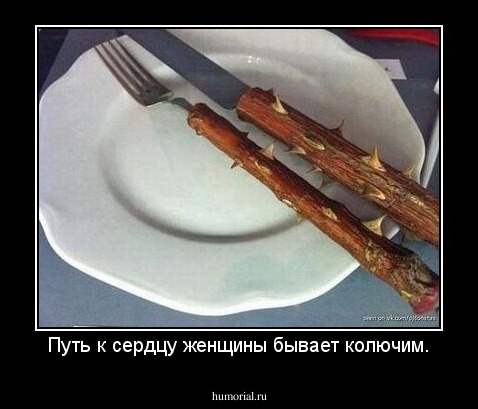 Путь к сердцу женщины бывает колючим.
