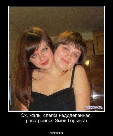 Эх, жаль, слегка недоделанная, - расстроился Змей Горыныч.