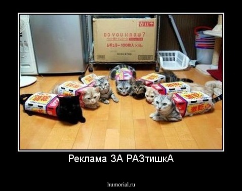 Реклама ЗА РАЗтишкА