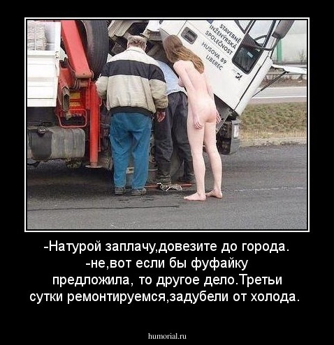 -Натурой заплачу,довезите до города.
-не,вот если бы фуфайку предложила, то другое дело.Третьи сутки ремонтируемся,задубели от холода.