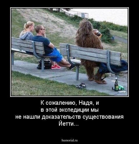 К сожалению, Надя, и в этой экспедиции мы не нашли доказательств существования Йетти...