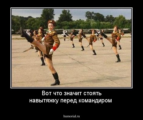 Вот что значит стоять навытяжку перед командиром