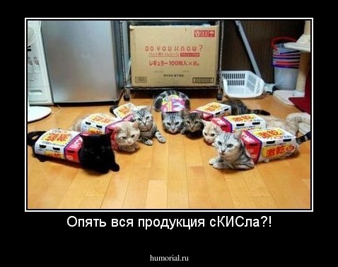 Опять вся продукция сКИСла?!