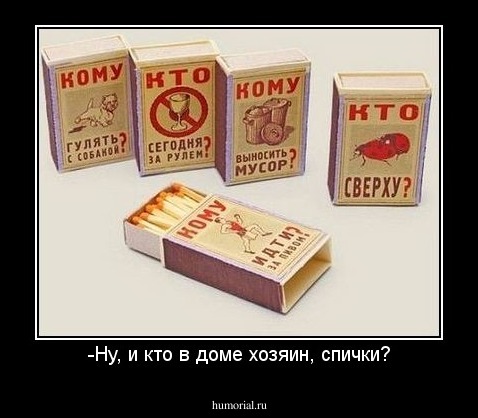 -Ну, и кто в доме хозяин, спички?
