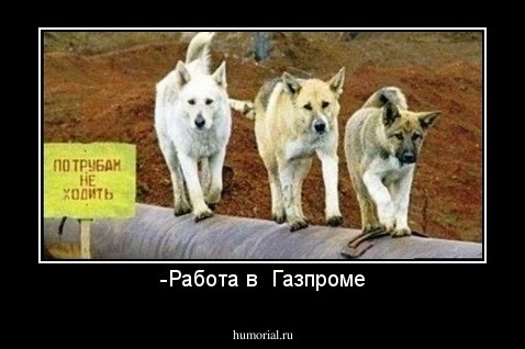 -Работа в  Газпроме