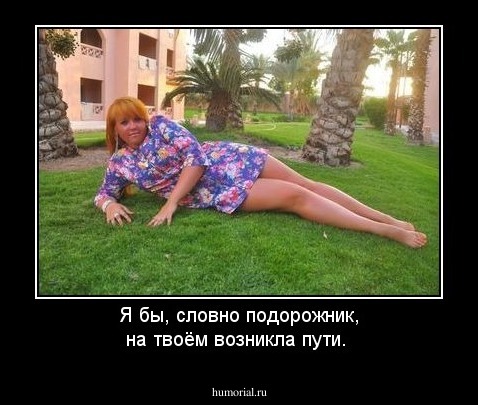 Я бы, словно подорожник, на твоём возникла пути.
