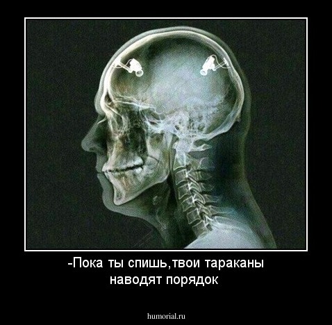 -Пока ты спишь,твои тараканы наводят порядок