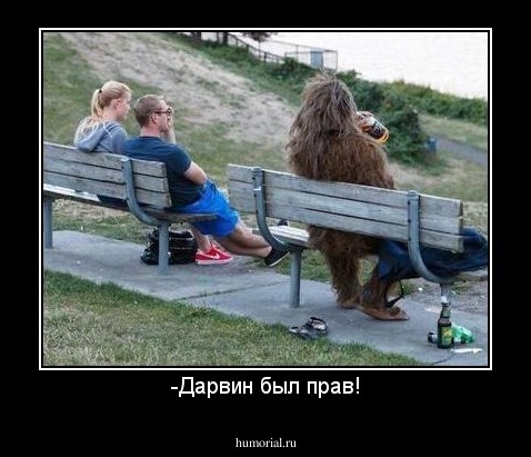 -Дарвин был прав!