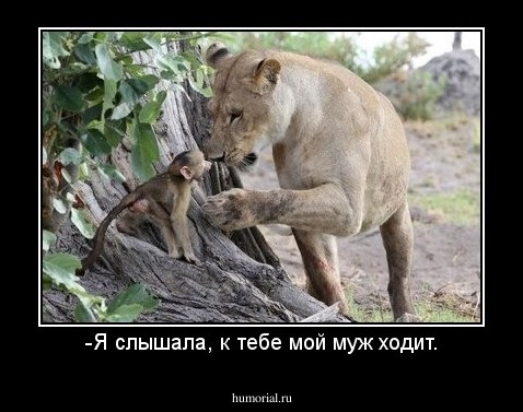 -Я слышала, к тебе мой муж ходит.