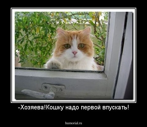 -Хозяева!Кошку надо первой впускать!