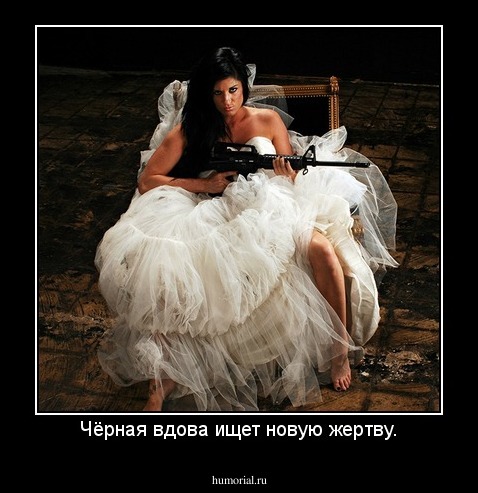 Чёрная вдова ищет новую жертву.