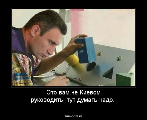 Это вам не Киевом руководить, тут думать надо.
