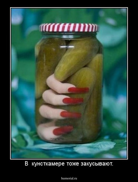 В  кунсткамере тоже закусывают.