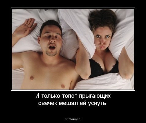 И только топот прыгающих овечек мешал ей уснуть