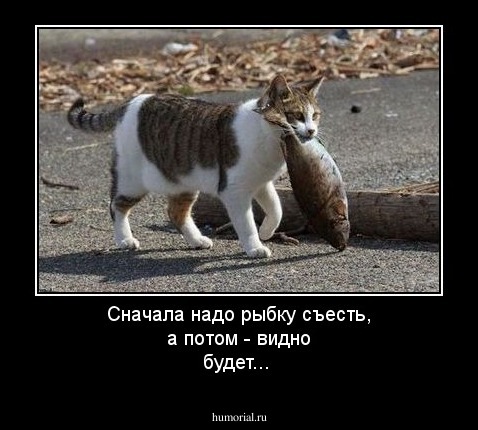 Сначала надо рыбку съесть, а потом - видно будет...
