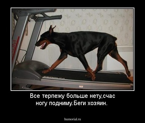 Все терпежу больше нету,счас ногу подниму.Беги хозяин.