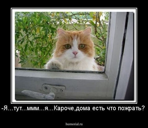 -Я...тут...ммм...я...Кароче,дома есть что пожрать?