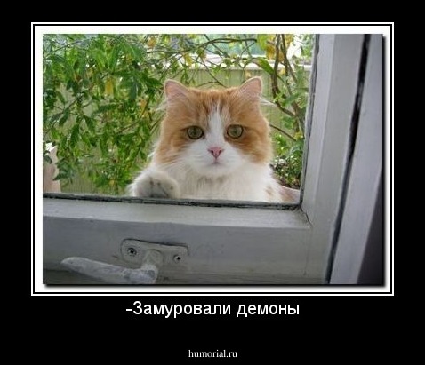 -Замуровали демоны