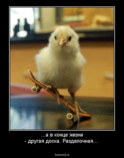 ...а в конце жизни - другая доска. Разделочная...