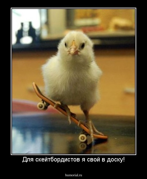 Для скейтбордистов я свой в доску!