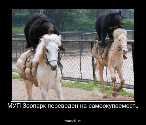 МУП Зоопарк переведен на самоокупаемость