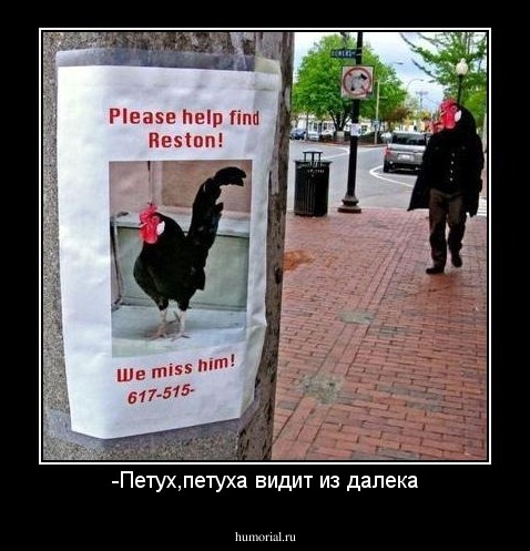-Петух,петуха видит из далека