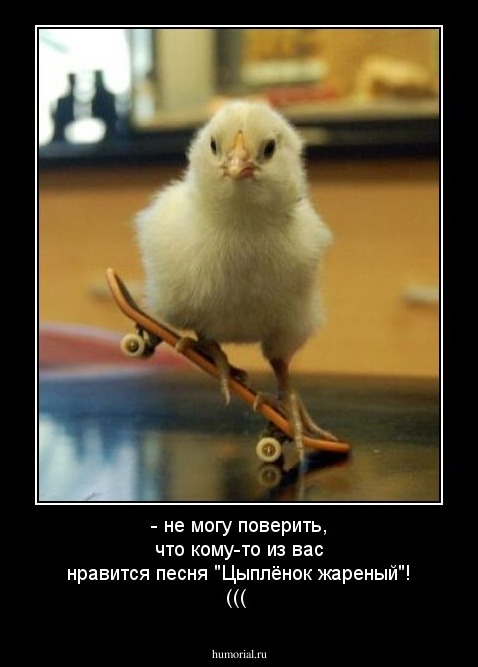 - не могу поверить, что кому-то из вас нравится песня "Цыплёнок жареный"! (((