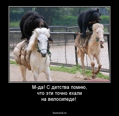 М-да! С детства помню, что эти точно ехали на велосипеде!