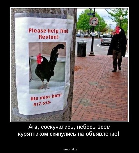 Ага, соскучились, небось всем курятником скинулись на объявление!