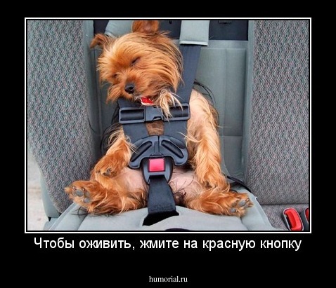 Чтобы оживить, жмите на красную кнопку