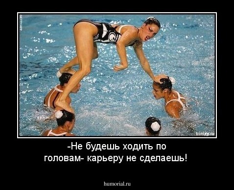 -Не будешь ходить по головам- карьеру не сделаешь!