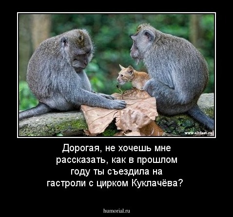 Дорогая, не хочешь мне рассказать, как в прошлом году ты съездила на гастроли с цирком Куклачёва?