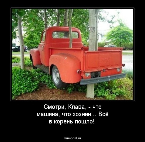 Смотри, Клава, - что машина, что хозяин... Всё в корень пошло!