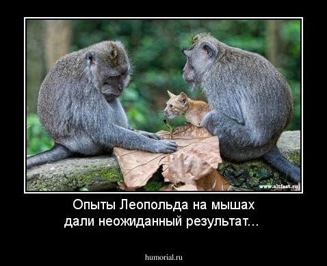 Опыты Леопольда на мышах дали неожиданный результат...