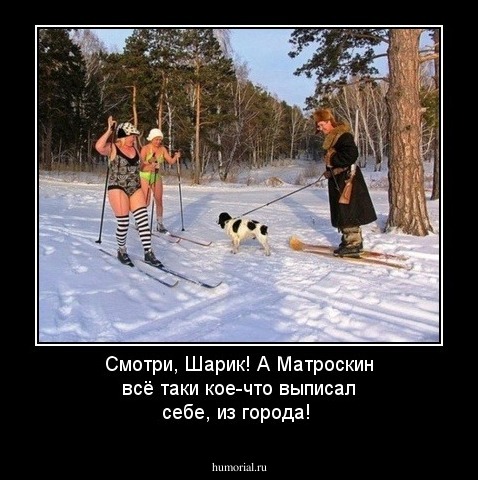 Смотри, Шарик! А Матроскин всё таки кое-что выписал себе, из города!