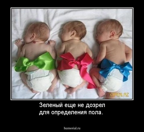 Зеленый еще не дозрел для определения пола.