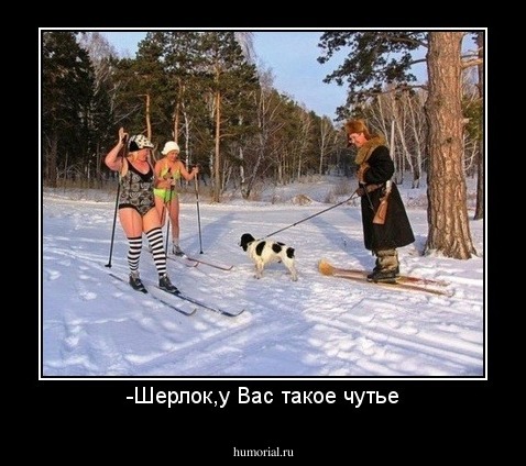 -Шерлок,у Вас такое чутье