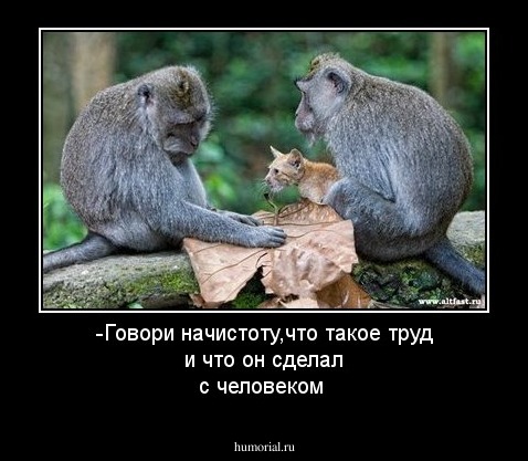 -Говори начистоту,что такое труд и что он сделал с человеком