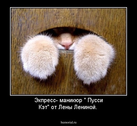 Экпресс- маникюр  " Пусси Кэт"  от Лены Лениной.