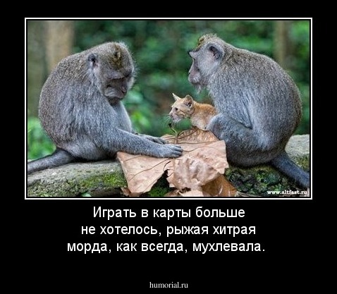 Играть в карты больше не хотелось, рыжая хитрая морда, как всегда, мухлевала.