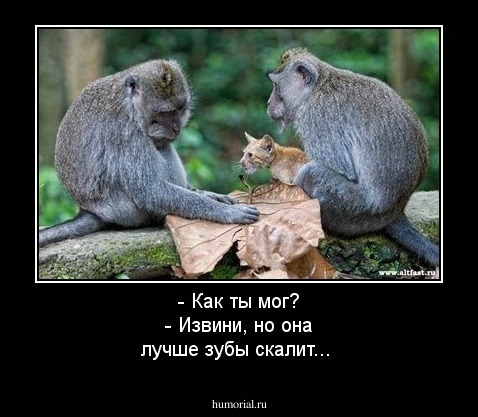 - Как ты мог?                                                                                      - Извини, но она лучше зубы скалит...